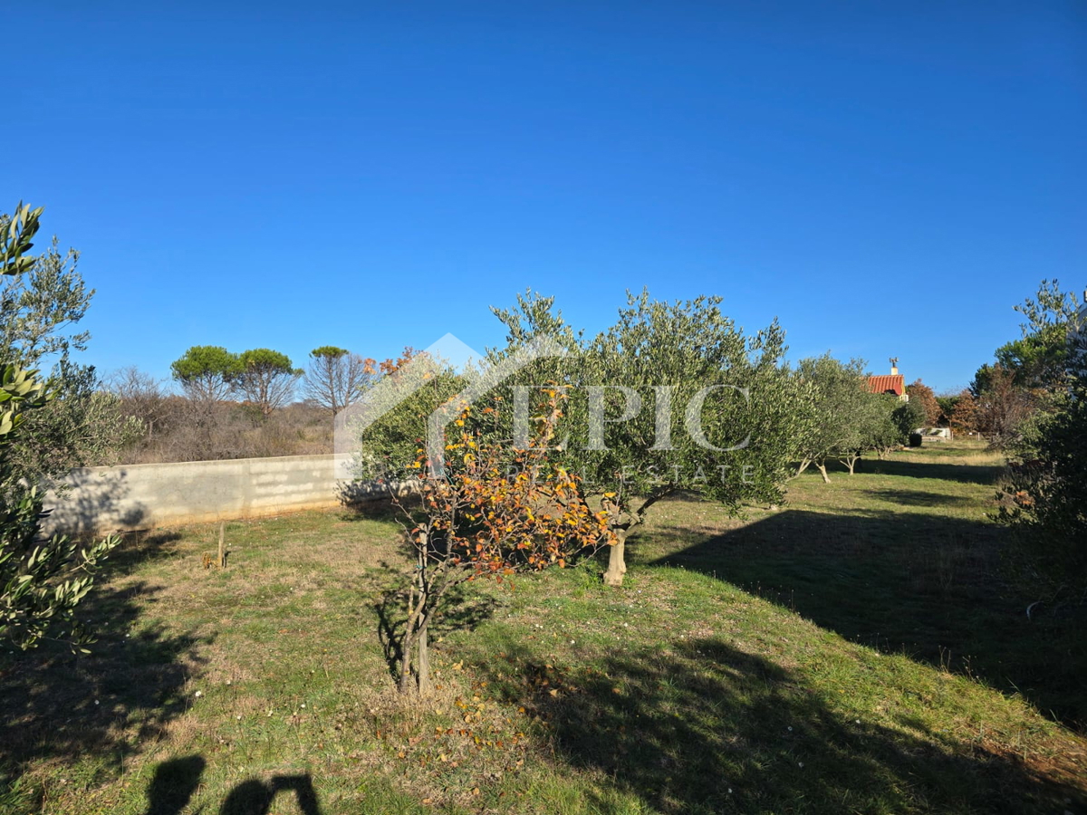 Casa In vendita - ZADARSKA ZEMUNIK DONJI