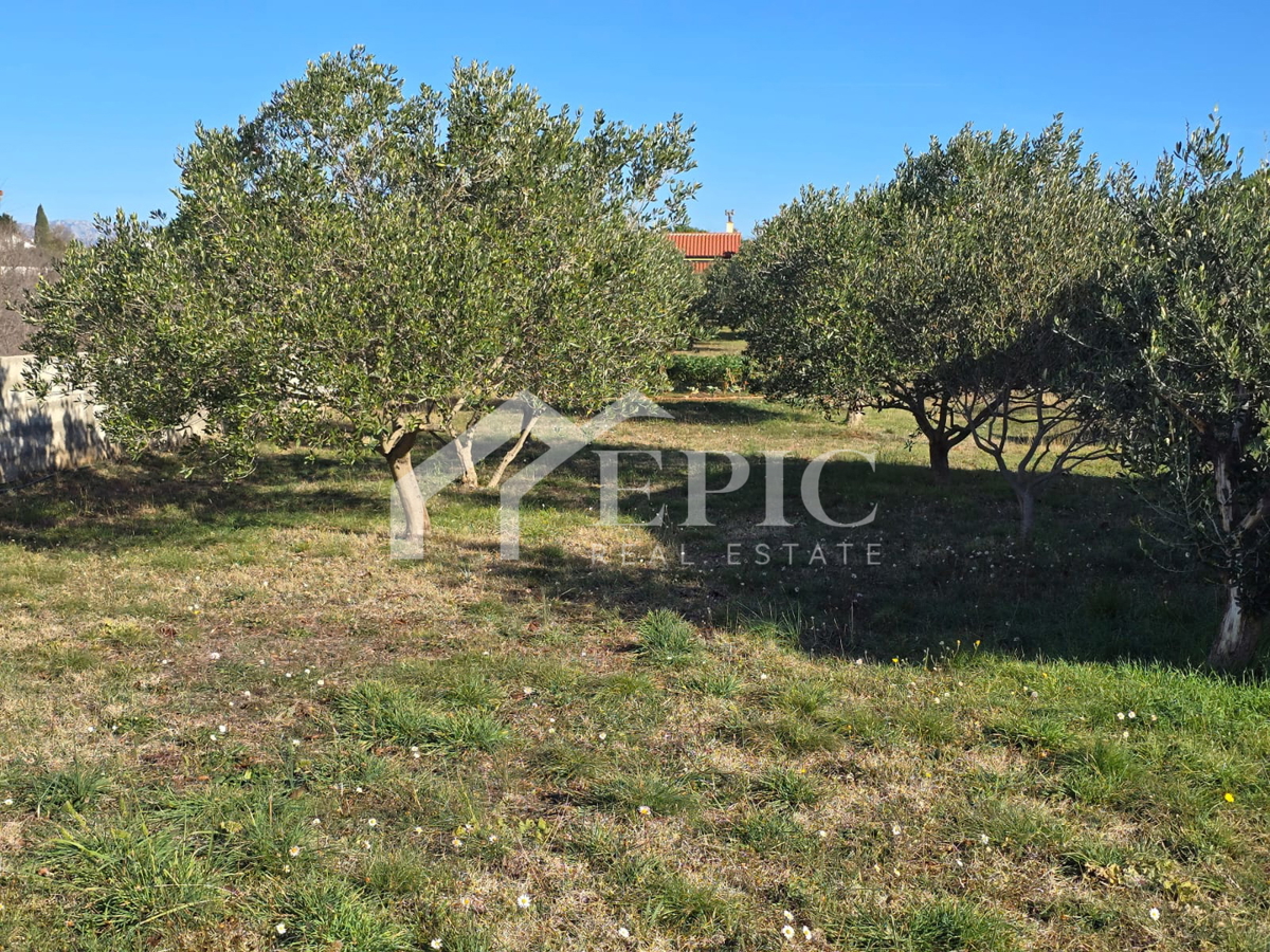 Casa In vendita - ZADARSKA ZEMUNIK DONJI