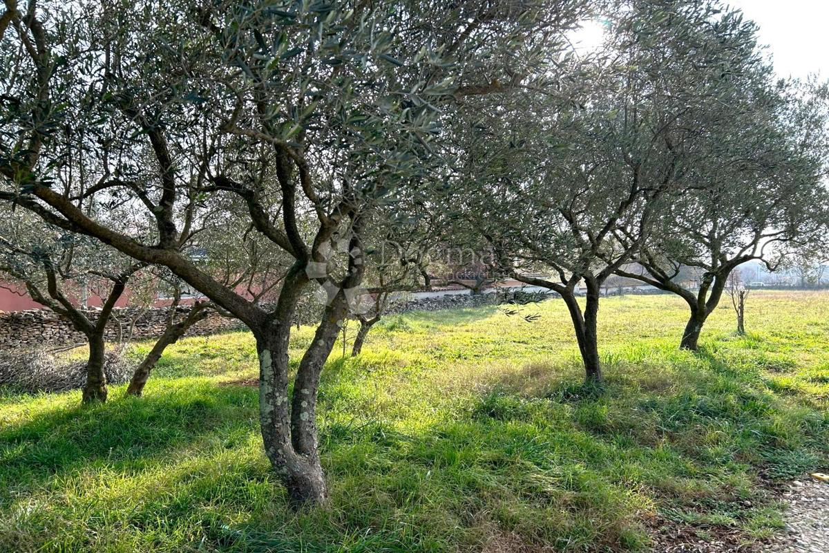 Land For sale - Istarska Vodnjan - foto 1/5