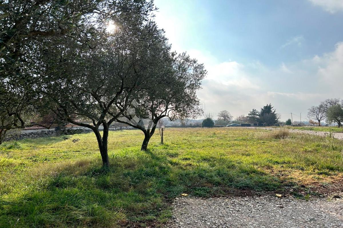 Land For sale - Istarska Vodnjan - foto 2/5