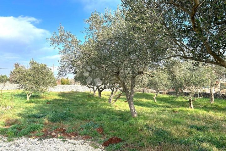 Land for sale 939 m² – Vodnjan