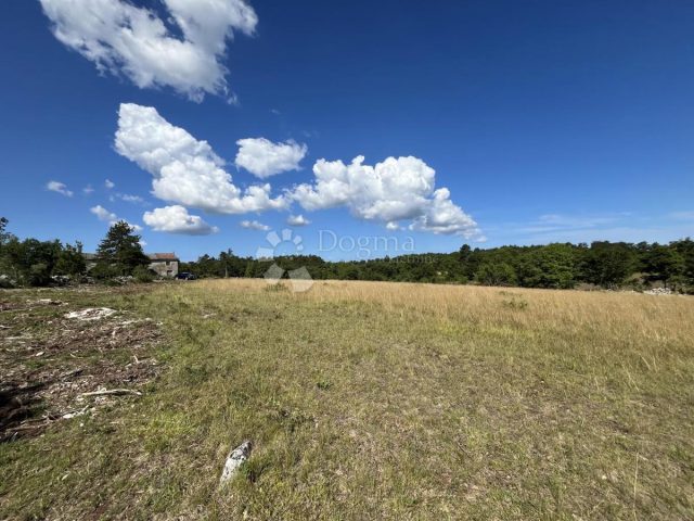 Pozemok na predaj 10328 m² – Grožnjan