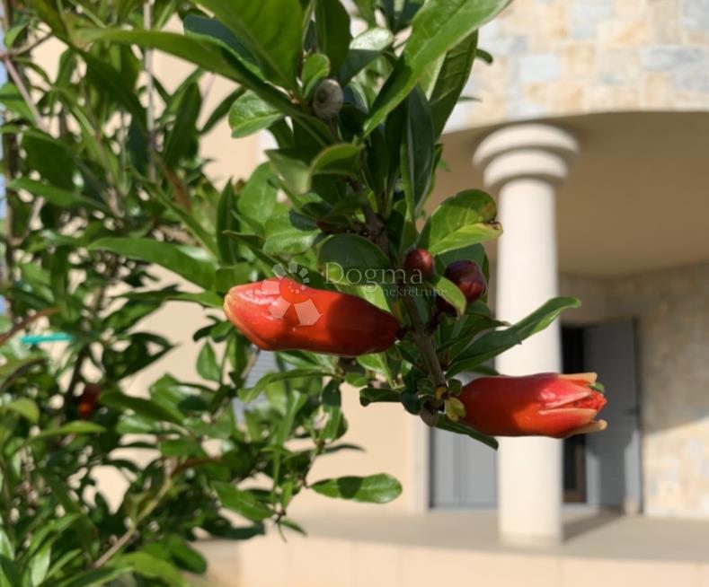 Casa In vendita - Zadarska Biograd Na Moru - foto 3/25