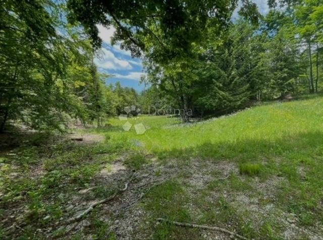 Land for sale 6618 m² – Vinodolska Općina
