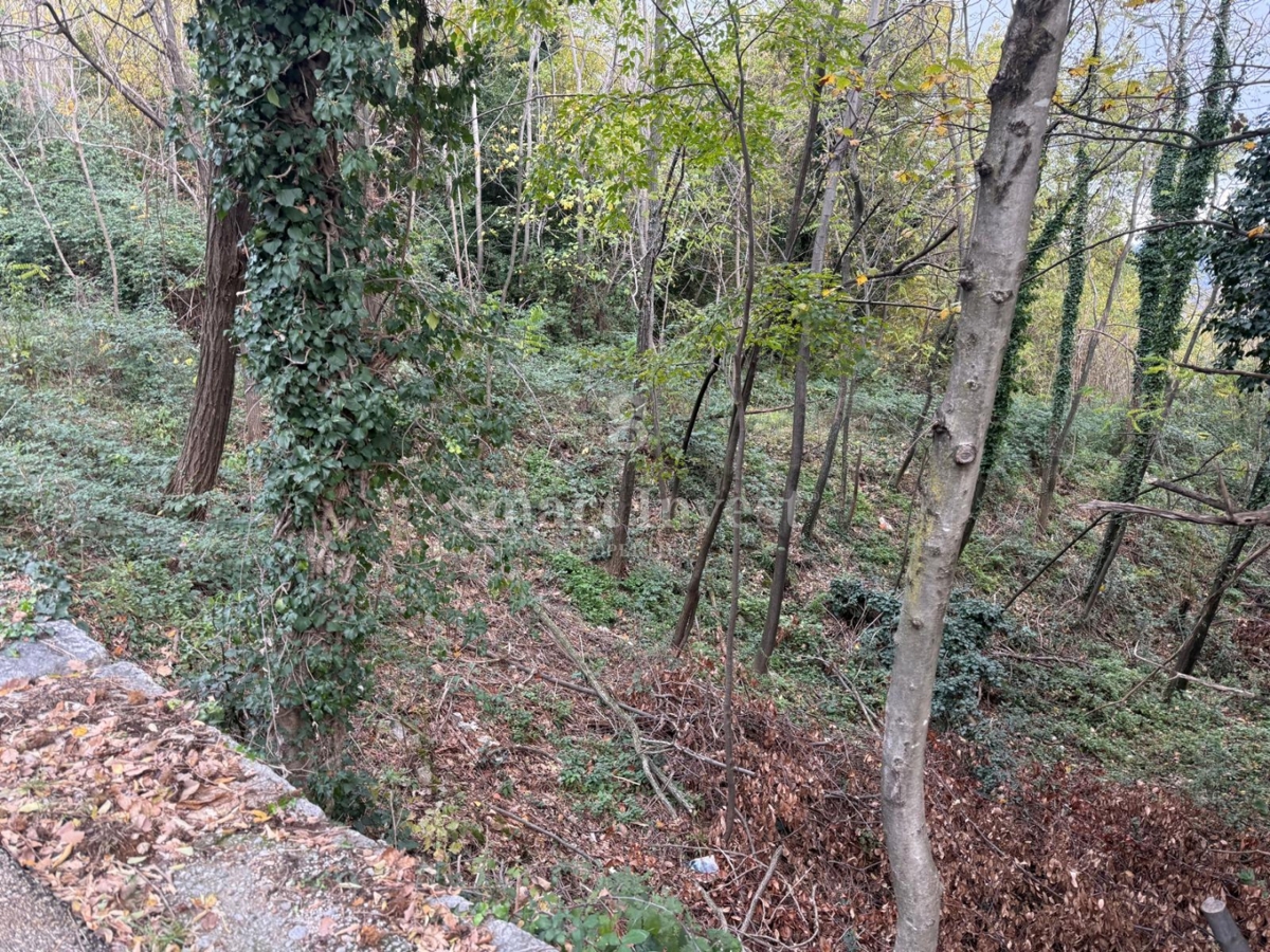 Dom Na predaj - PRIMORSKO-GORANSKA OPATIJA