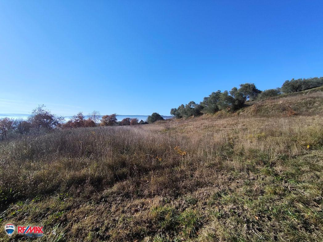 Terrain À vendre - ISTARSKA PIĆAN