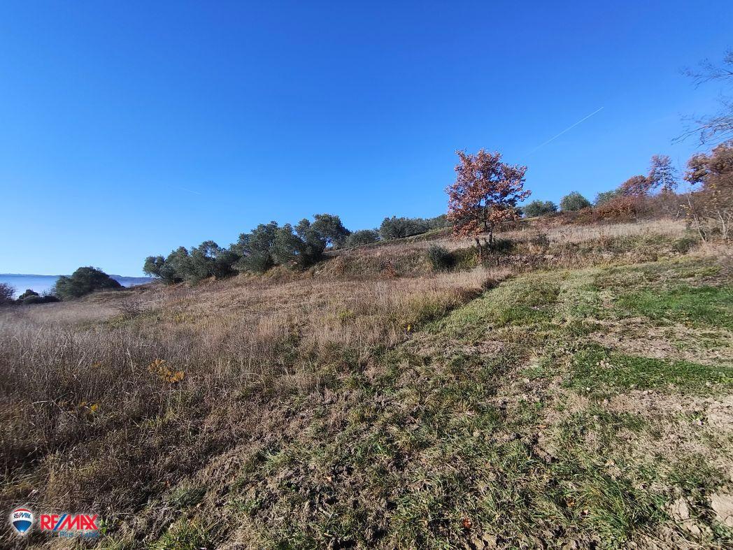 Terrain À vendre - ISTARSKA PIĆAN