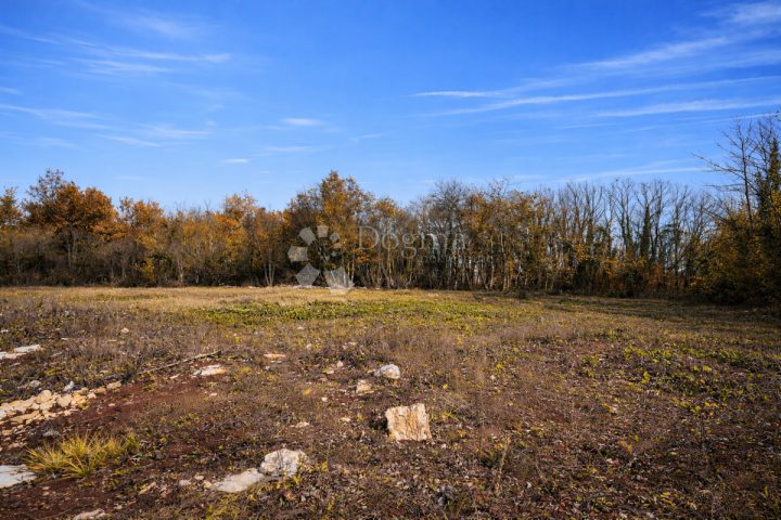 Grundstück Zu verkaufen - Istarska Pazin - foto 3/3