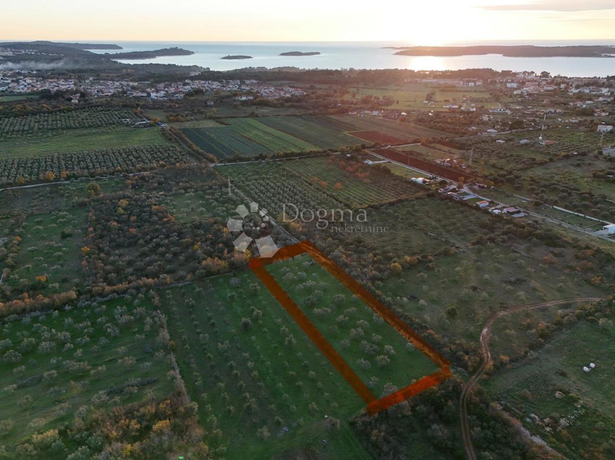 Terrain À vendre - Istarska Fažana - foto 1/3