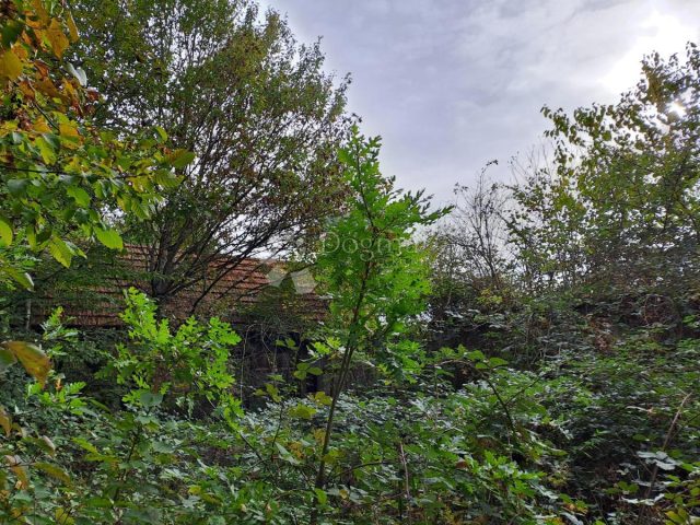 Maison À vendre GVOZD