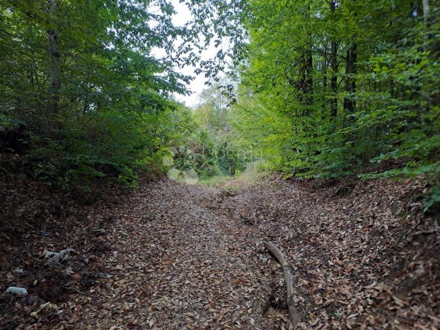 Casa In vendita - Sisačko-moslavačka Gvozd - foto 2/7