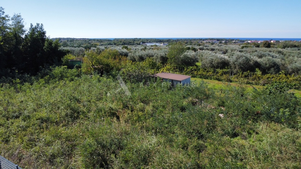 Pozemek Na prodej UMAG