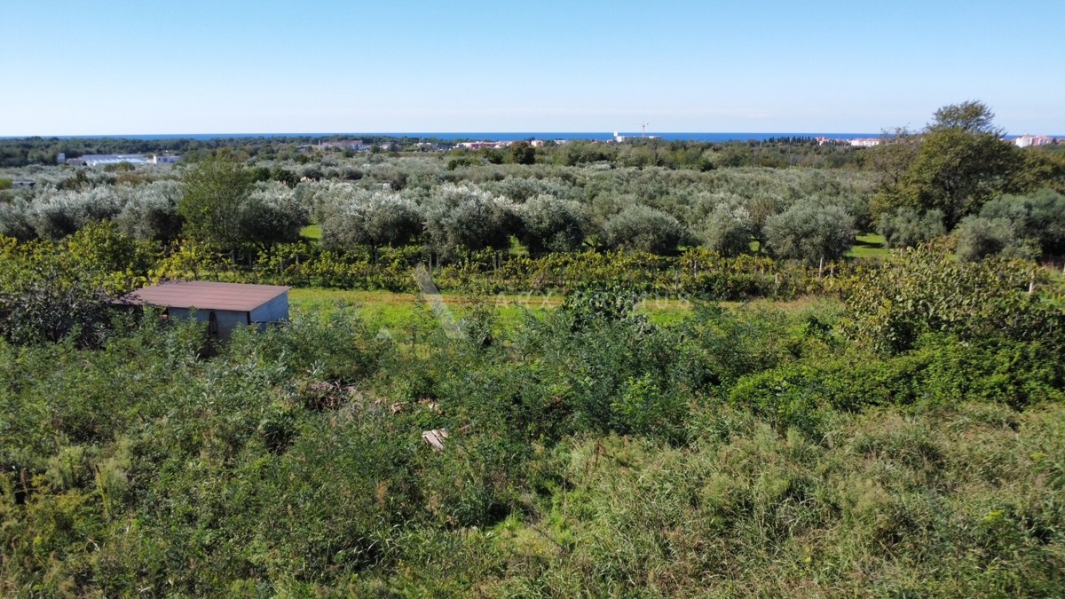 Pozemek Na prodej - ISTARSKA UMAG