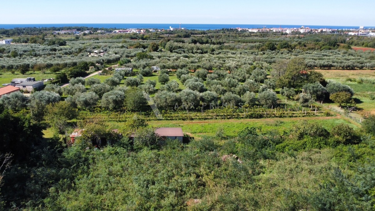 Pozemek Na prodej - ISTARSKA UMAG