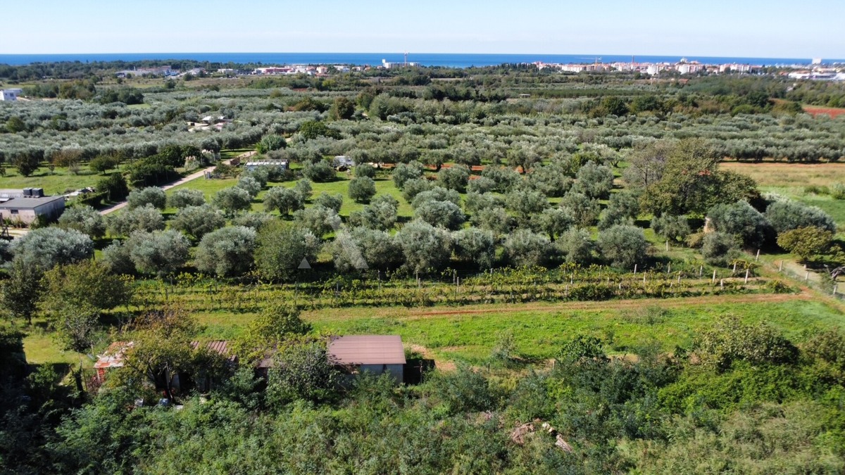 Pozemek Na prodej - ISTARSKA UMAG