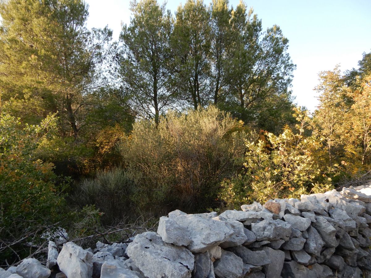 Terrain À vendre - šibensko-kninska Vodice - foto 1/6