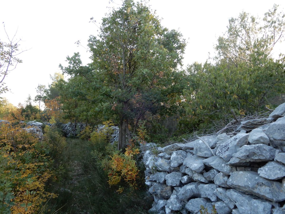 Terrain À vendre - šibensko-kninska Vodice - foto 2/6