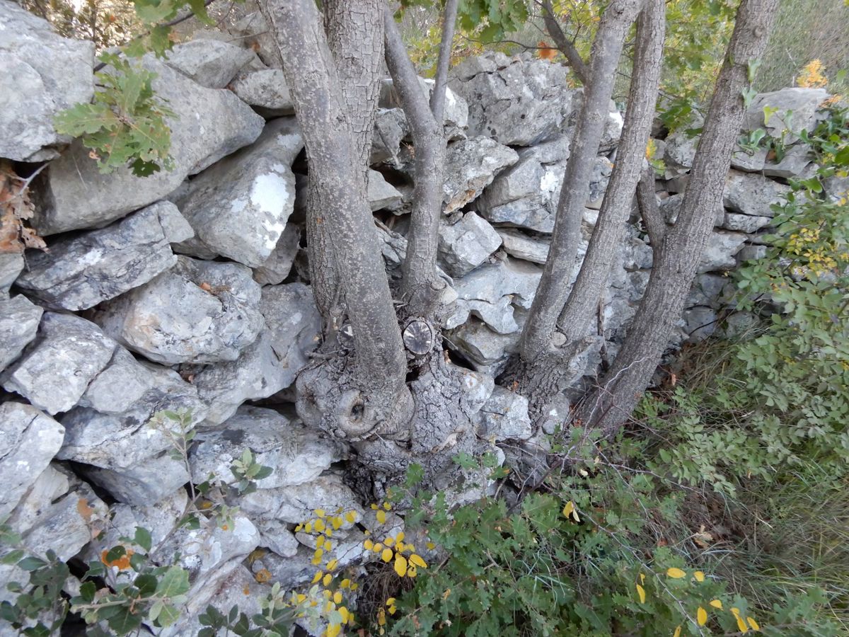 Terrain À vendre - šibensko-kninska Vodice - foto 3/6