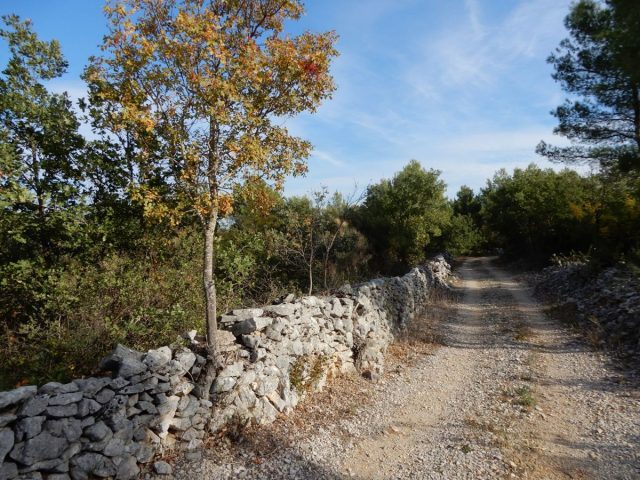 Land for sale 5588 m² – Vodice