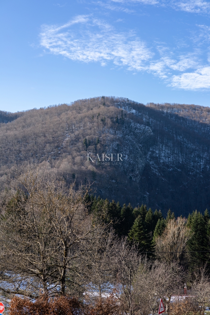 House For sale - PRIMORSKO-GORANSKA DELNICE