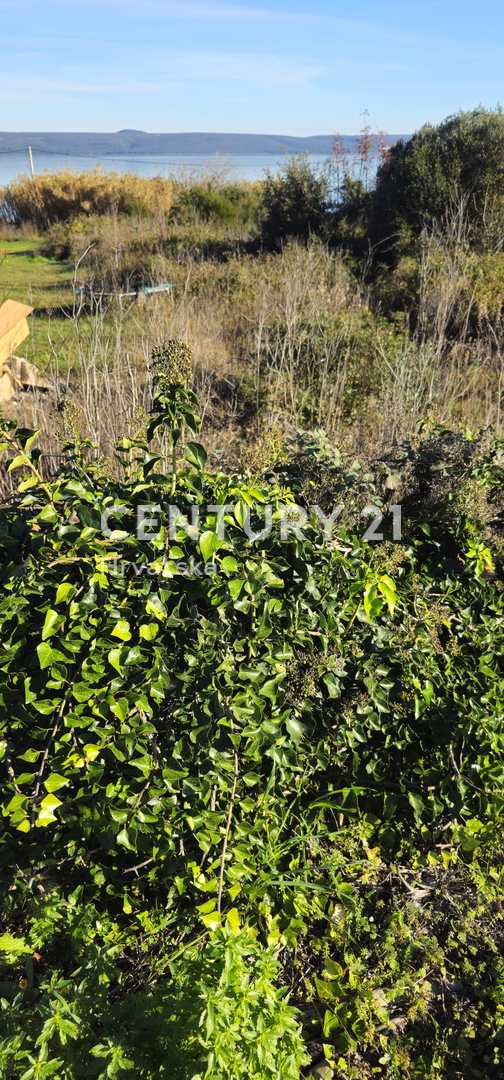 Land For sale - ZADARSKA PAŠMAN