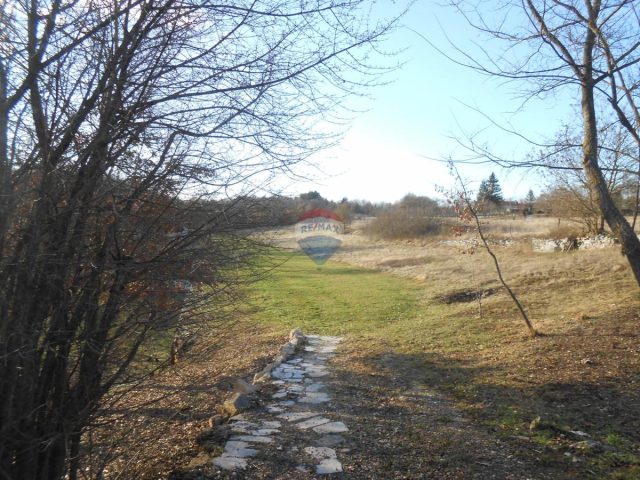 Terreno in vendita 34477 m² – Pazin