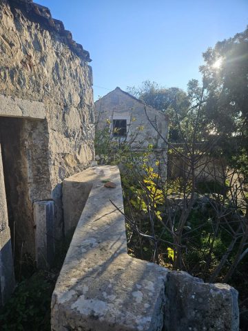 Hiša Naprodaj - Dubrovačko-neretvanska Mljet - foto 3/5