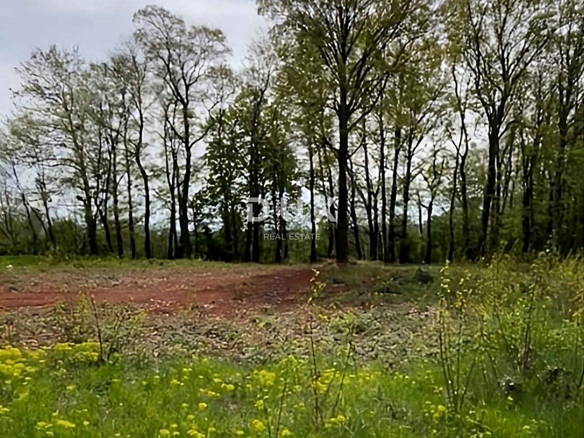 Terreno In vendita - Istarska Barban - foto 4/6