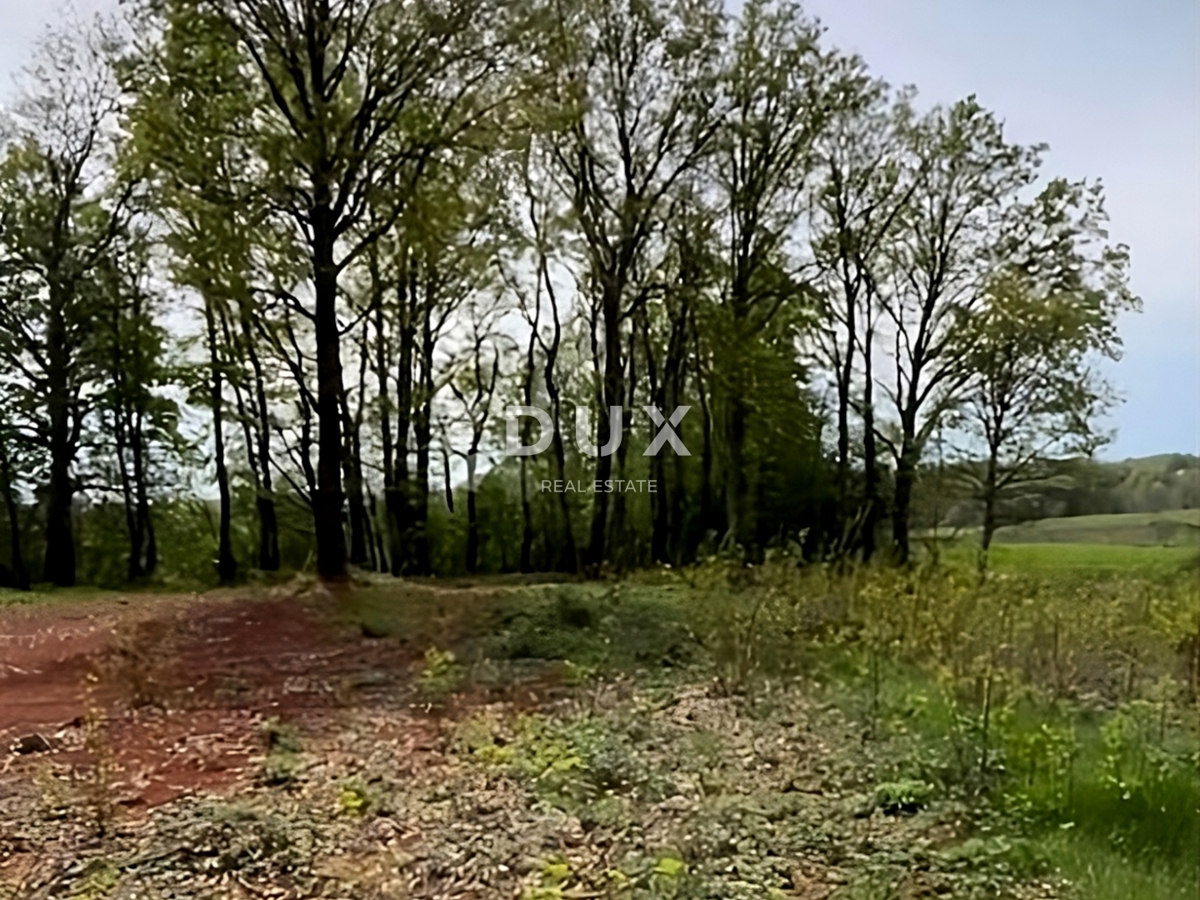 Terreno In vendita - Istarska Barban - foto 5/6