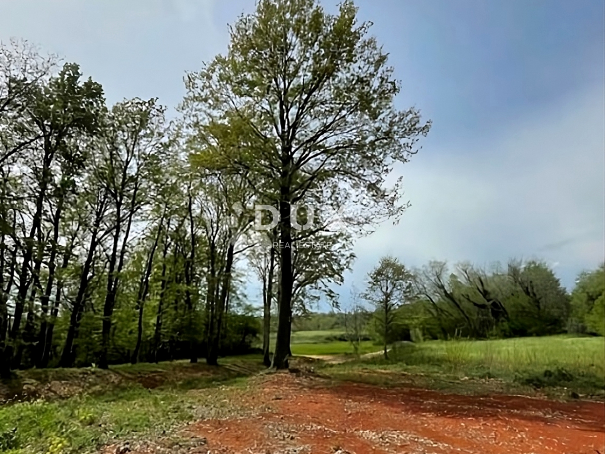 Terreno In vendita - ISTARSKA BARBAN