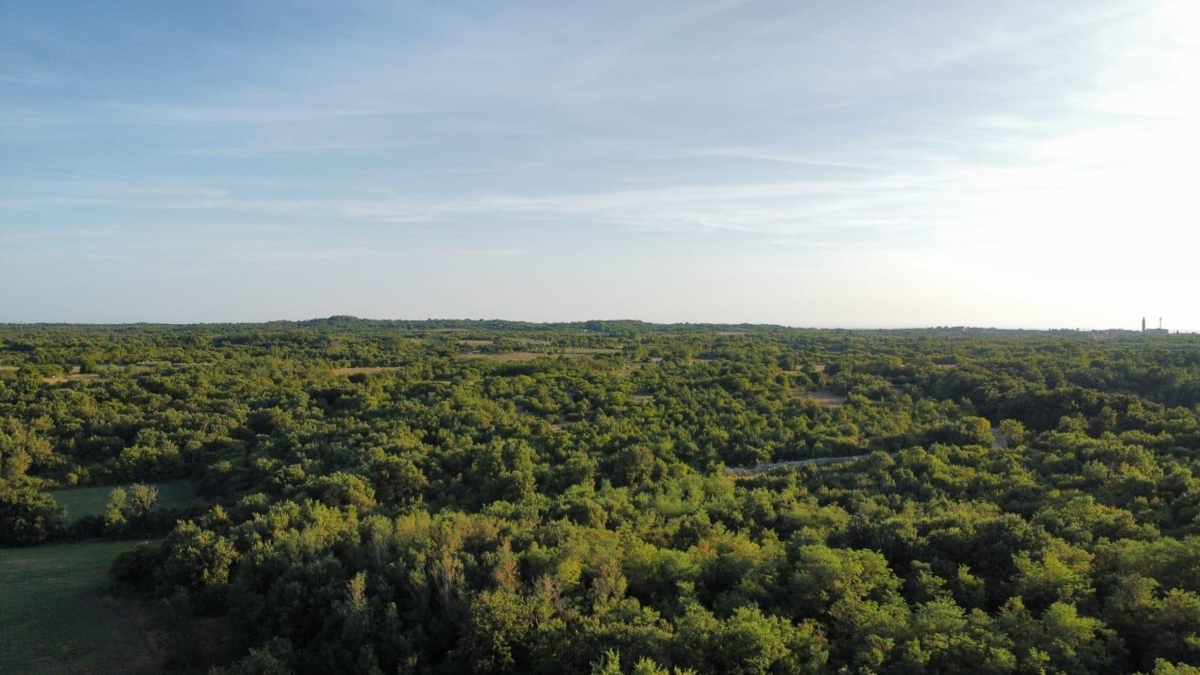 Land For sale - Istarska Vodnjan - foto 3/6