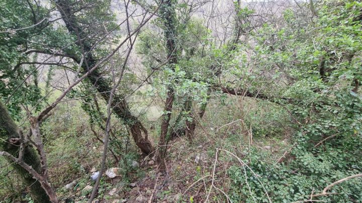 Terreno In vendita - Primorsko-goranska Rijeka - foto 2/2