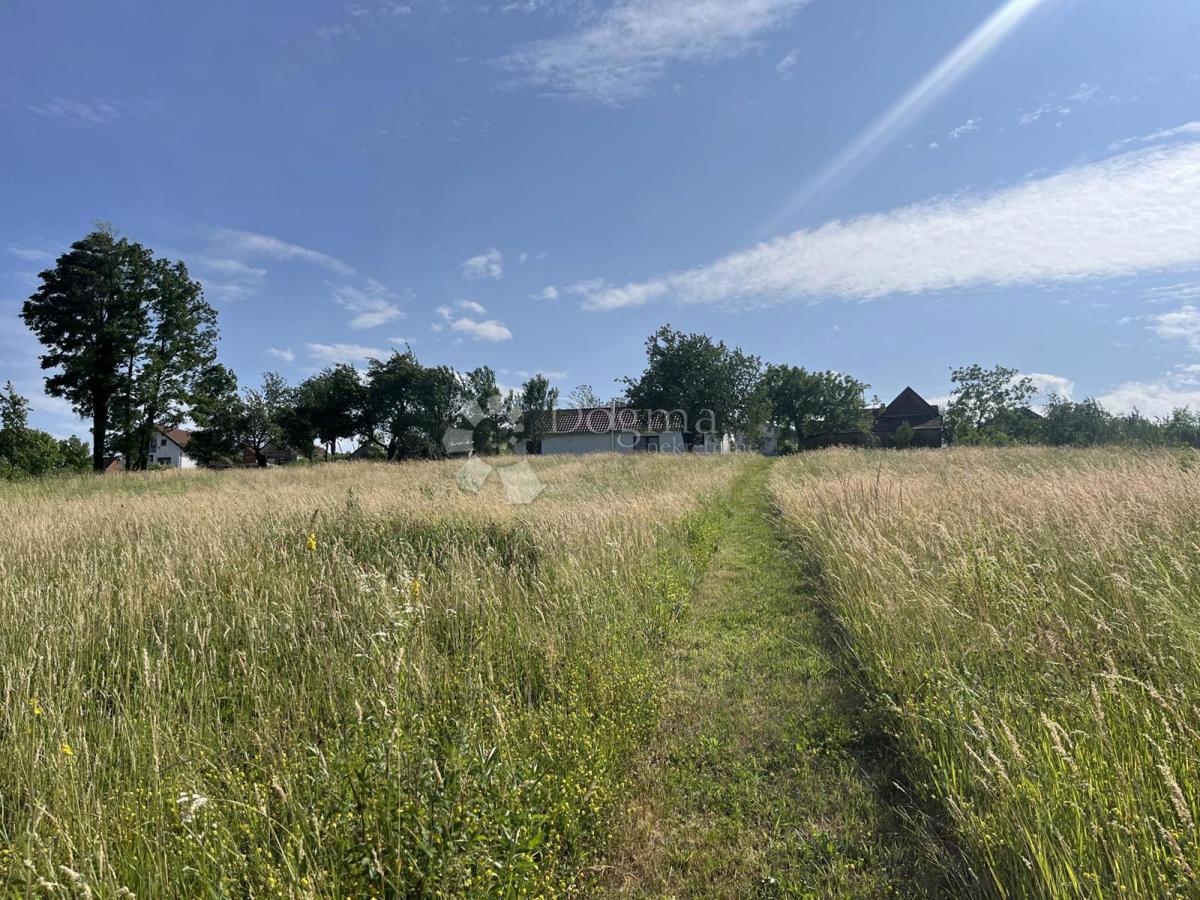 House For sale - Osječko-baranjska Našice - foto 1/25