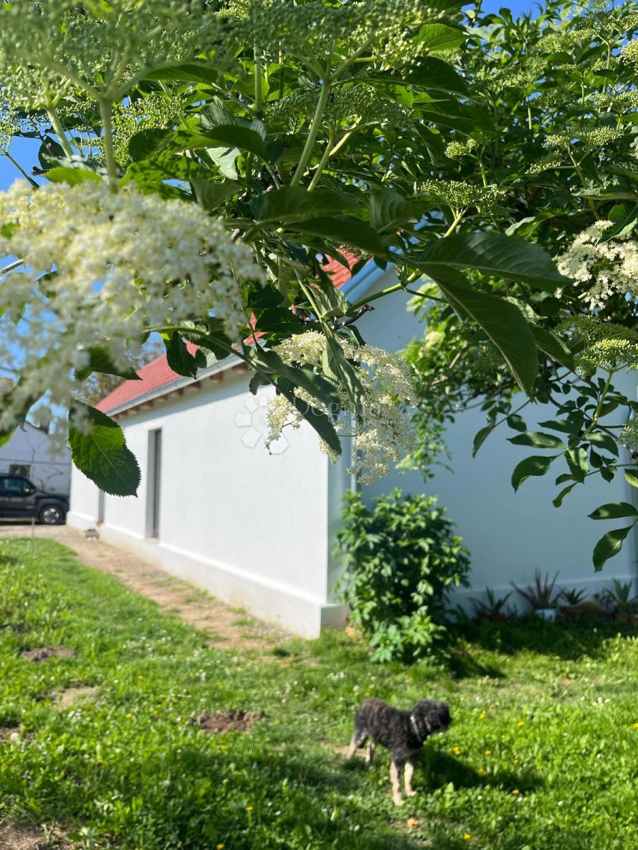 House For sale - OSJEČKO-BARANJSKA NAŠICE