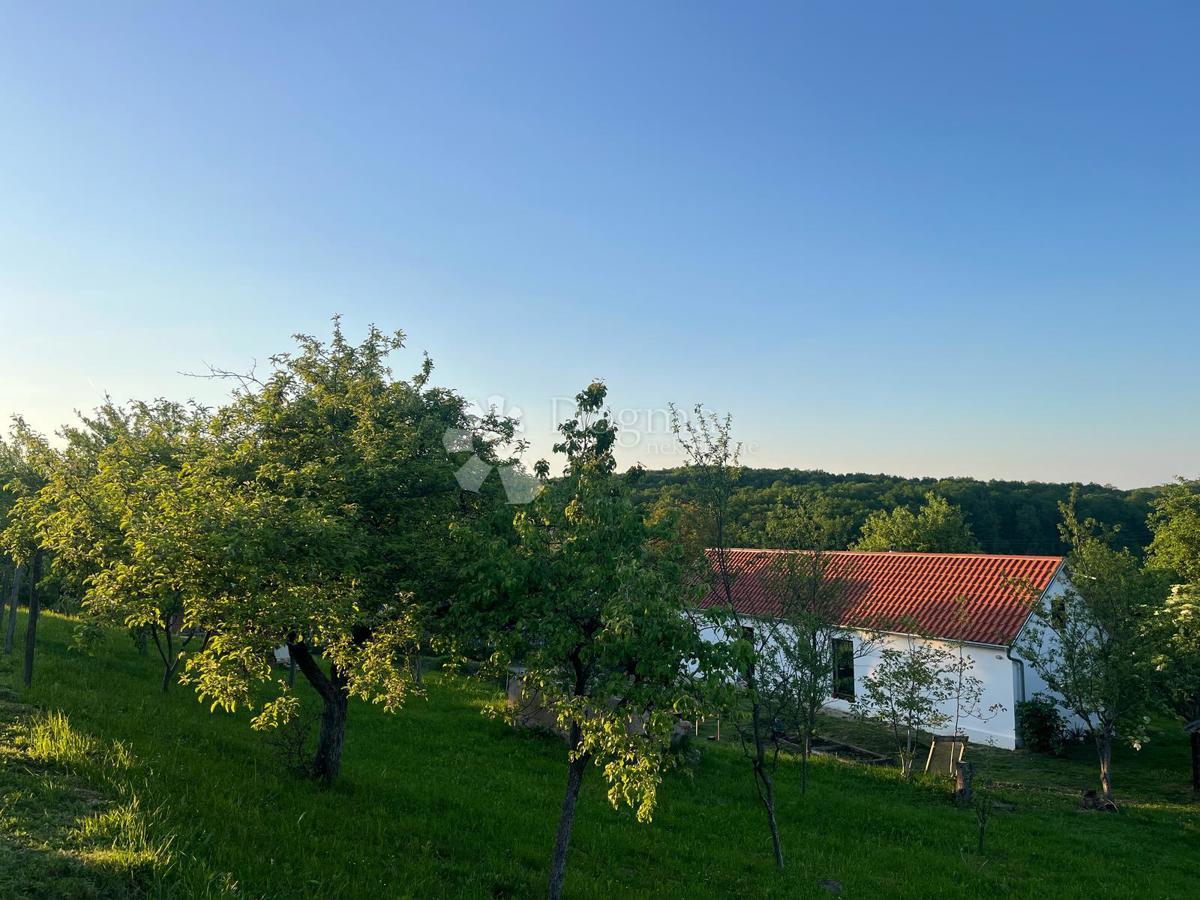 House For sale - OSJEČKO-BARANJSKA NAŠICE