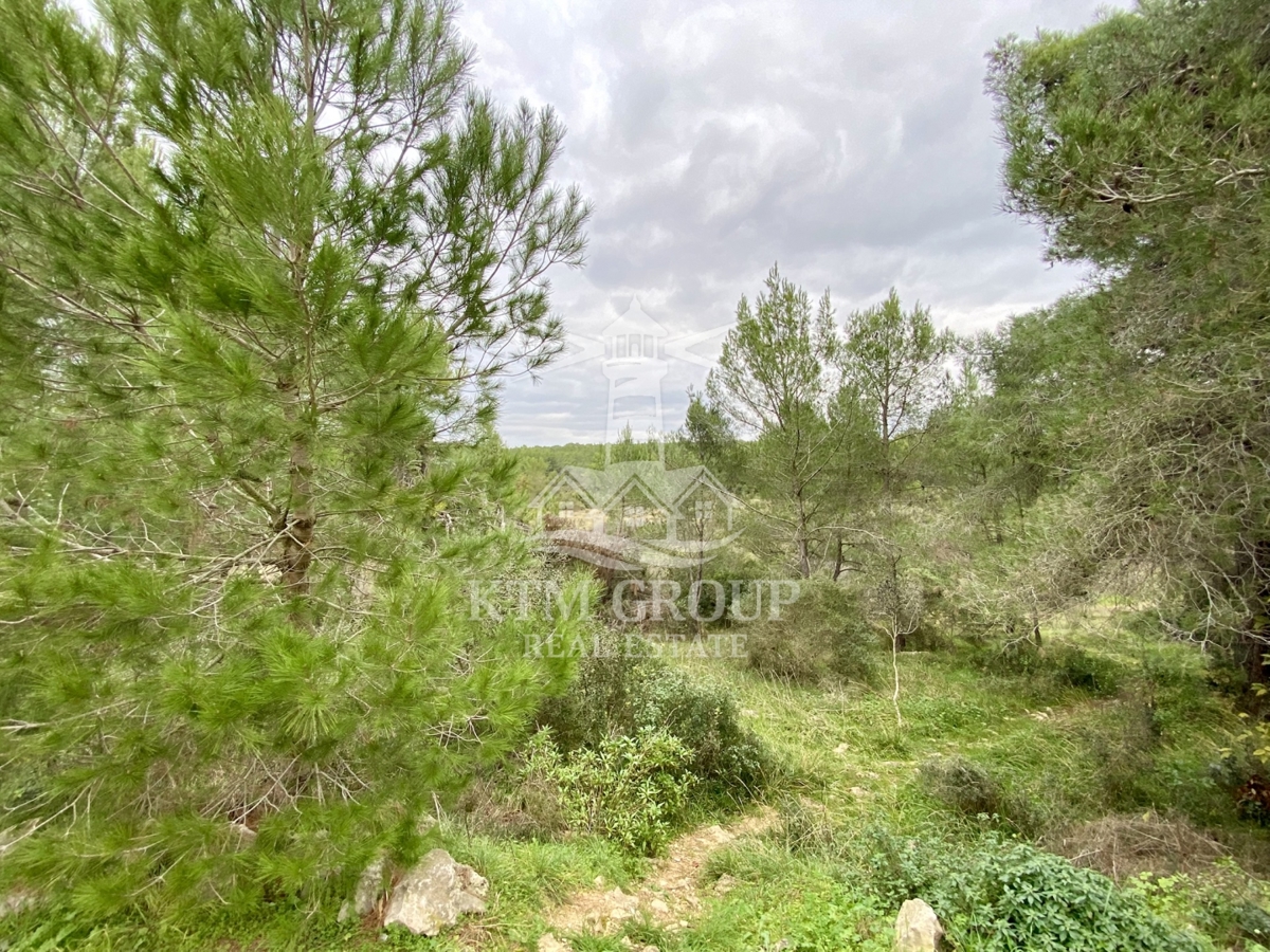 Apartment Zu verkaufen - ZADARSKA ZADAR