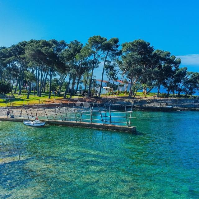 House For sale - ISTARSKA UMAG