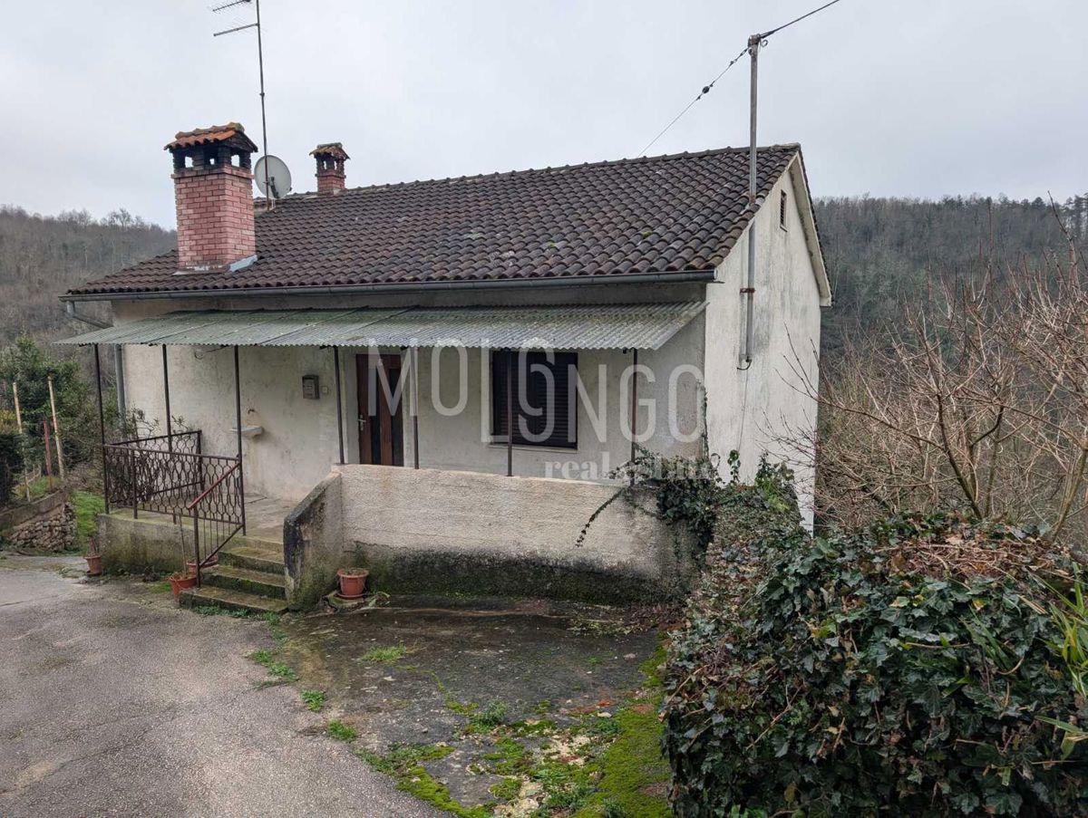 Haus Zu verkaufen - ISTARSKA PAZIN