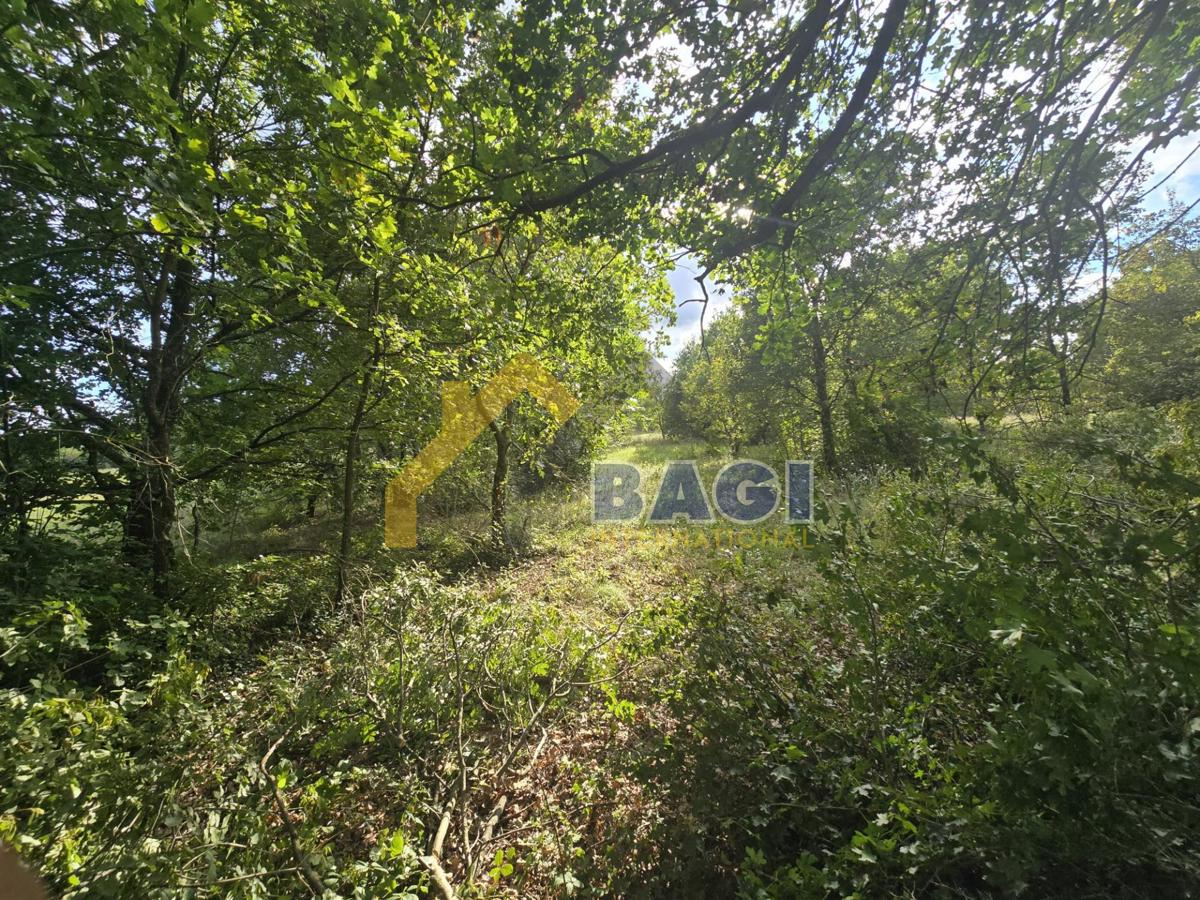 Land For sale - Istarska Marčana - foto 1/3