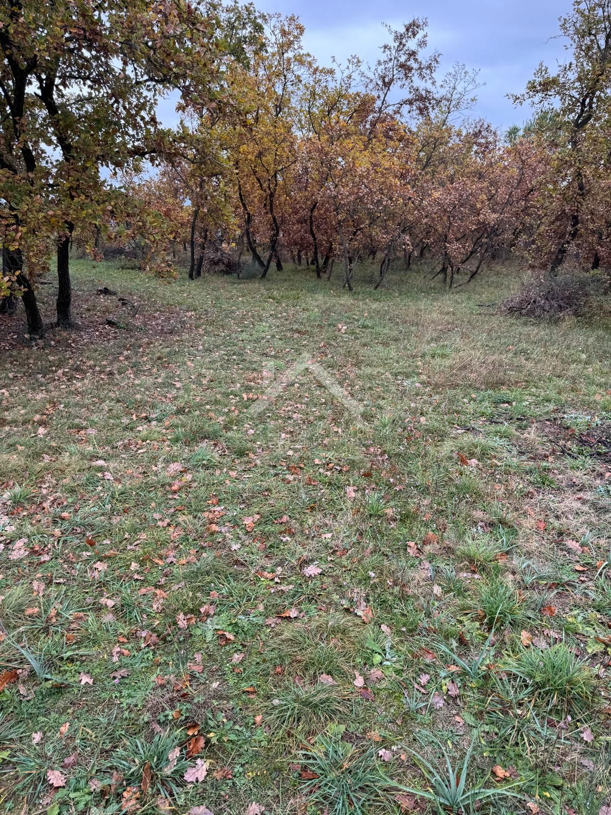 Zemljište Na prodaju - ZADARSKA ZEMUNIK DONJI