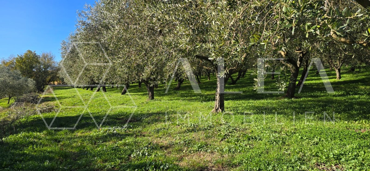 Zemljište Na prodaju - ISTARSKA PIĆAN