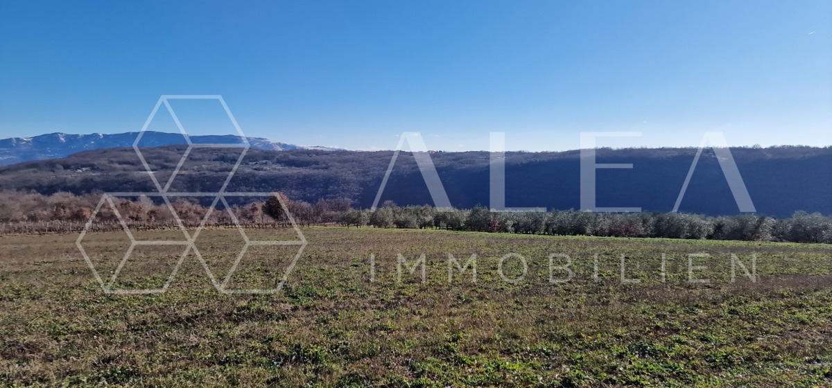 Zemljište Na prodaju - ISTARSKA PIĆAN