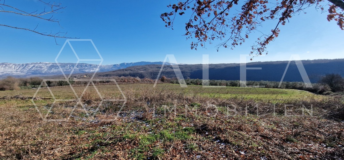 Zemljište Na prodaju - ISTARSKA PIĆAN