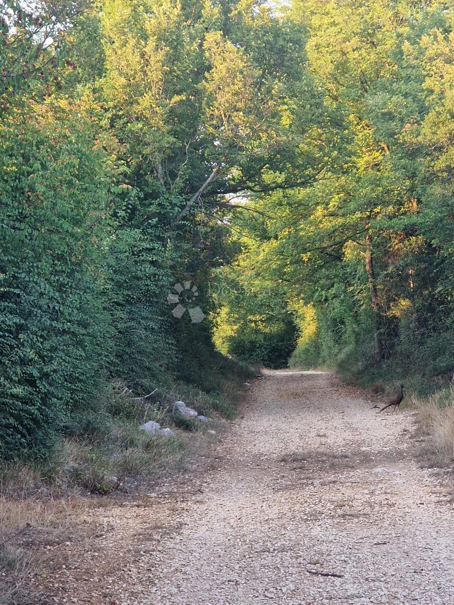 Terreno In vendita - Zadarska Sukošan - foto 3/4