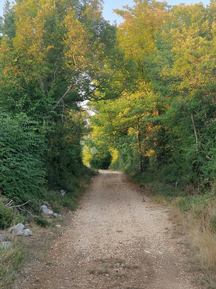 Terreno In vendita - Zadarska Sukošan - foto 4/4