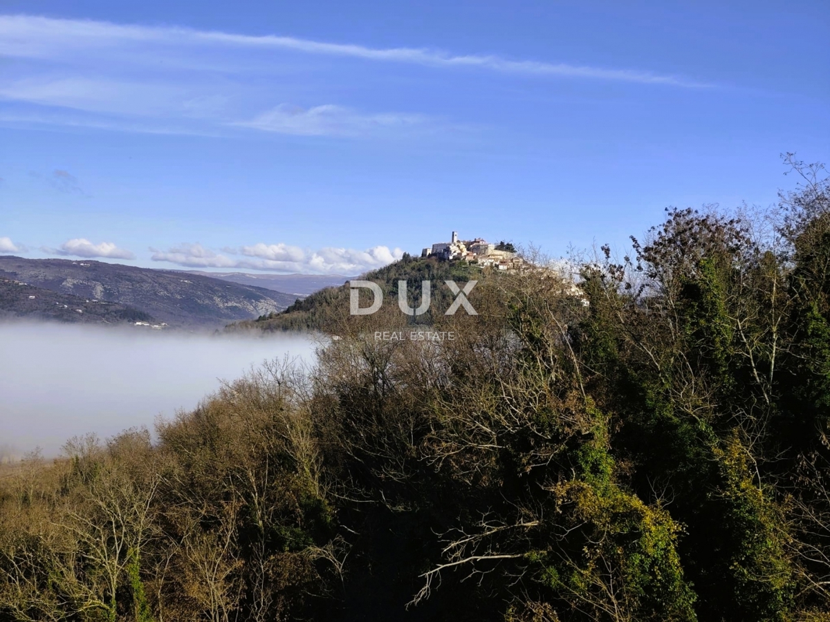 Terrain À vendre - Istarska Motovun - foto 4/6