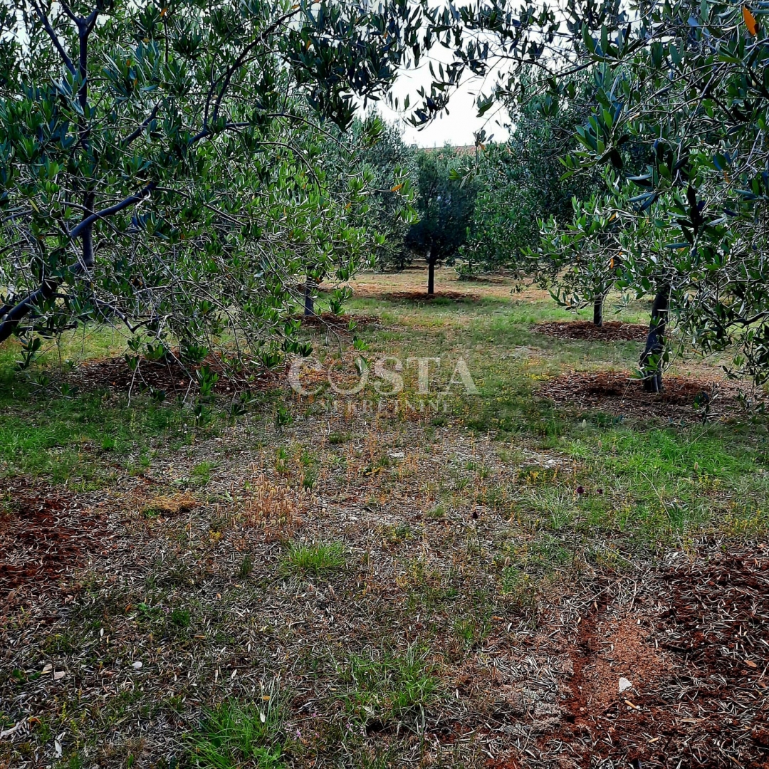 House For sale - ZADARSKA VIR