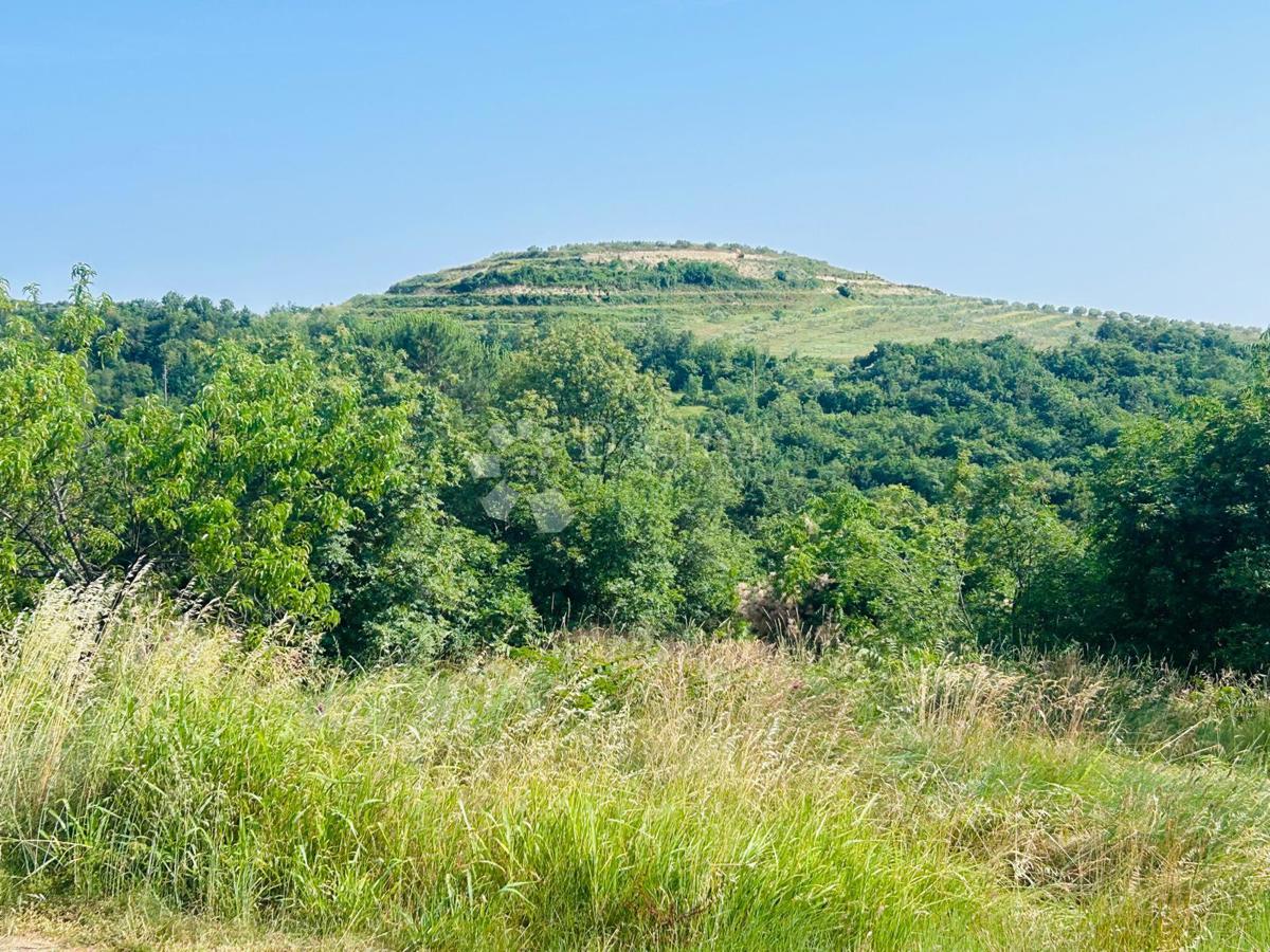 Dom Na predaj - ISTARSKA BUJE