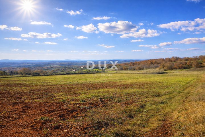 Land for sale 18311 m² – Vižinada