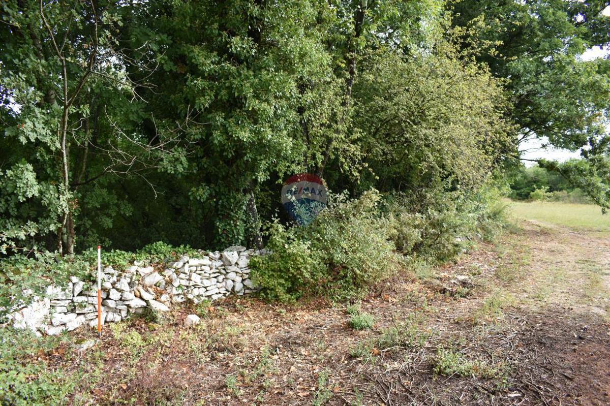 Parcela Na predaj - Istarska Svetvinčenat - foto 4/6